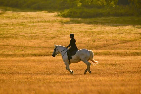Reiten